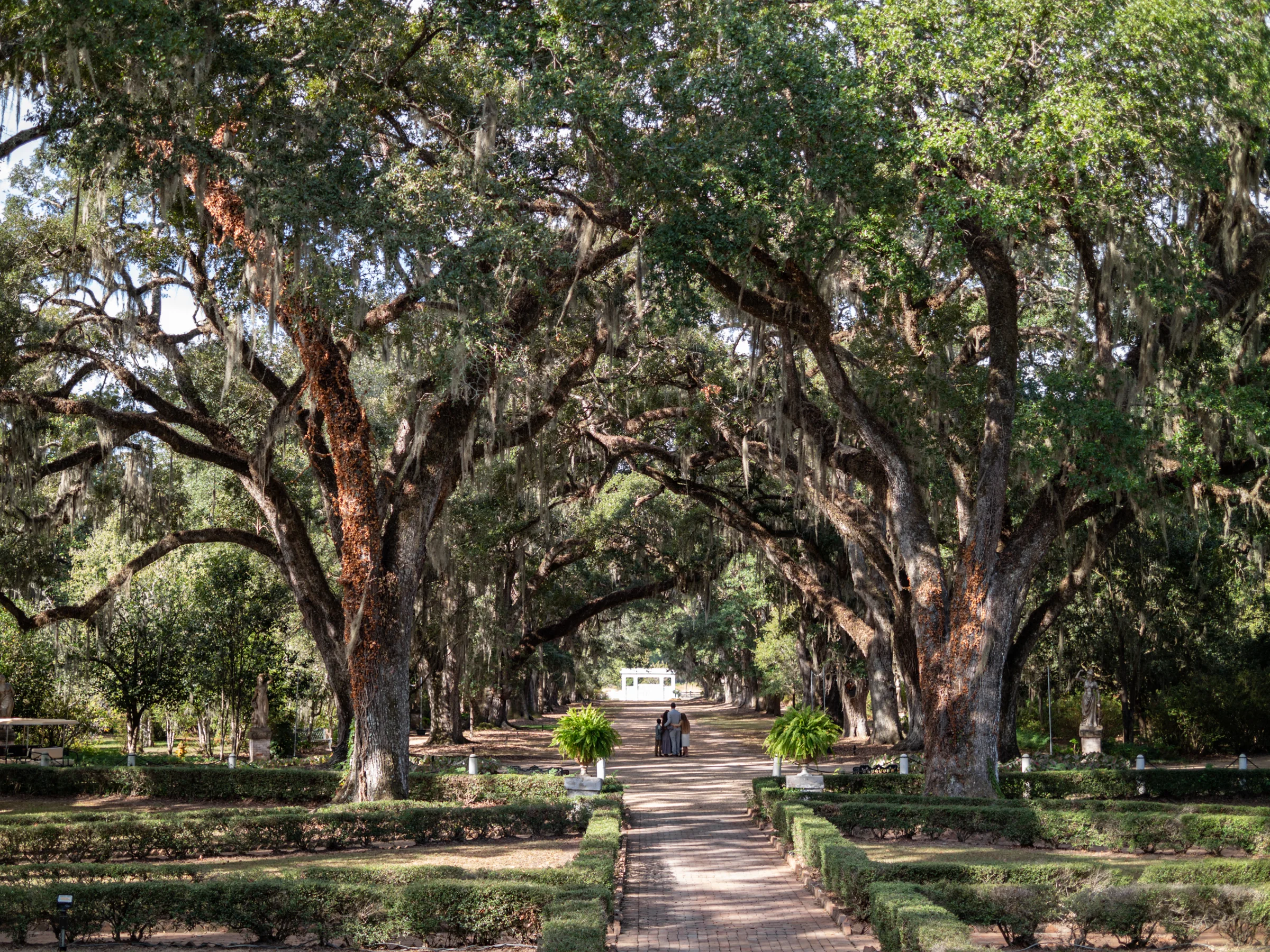 Rosedown plantation house through the oaks